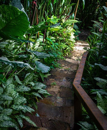 Kot Man-Ya flower garden Seychelles